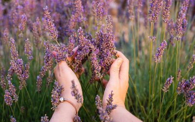 7 Mental Illness Symptoms EMDR Therapy Can Help With